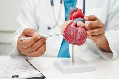Top 5 Cardiac Surgeons in Patna Top 5 Cardiac Surgeons in Patna Best Hospitals in Patna, Bihar: Multispecialty Hospital, Book an Appointment | Ford Hospital